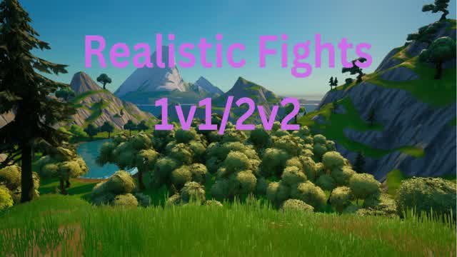Realistic Fights 1v1,2v2