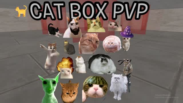 😹 CAT BOX FIGHT 📦