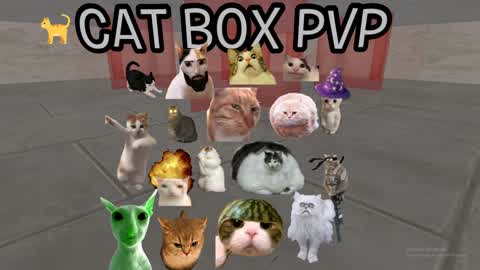 😹 CAT BOX FIGHT 📦
