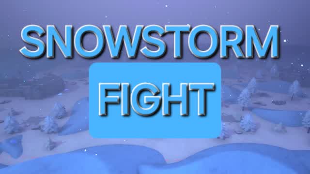 Snowstorm Fight