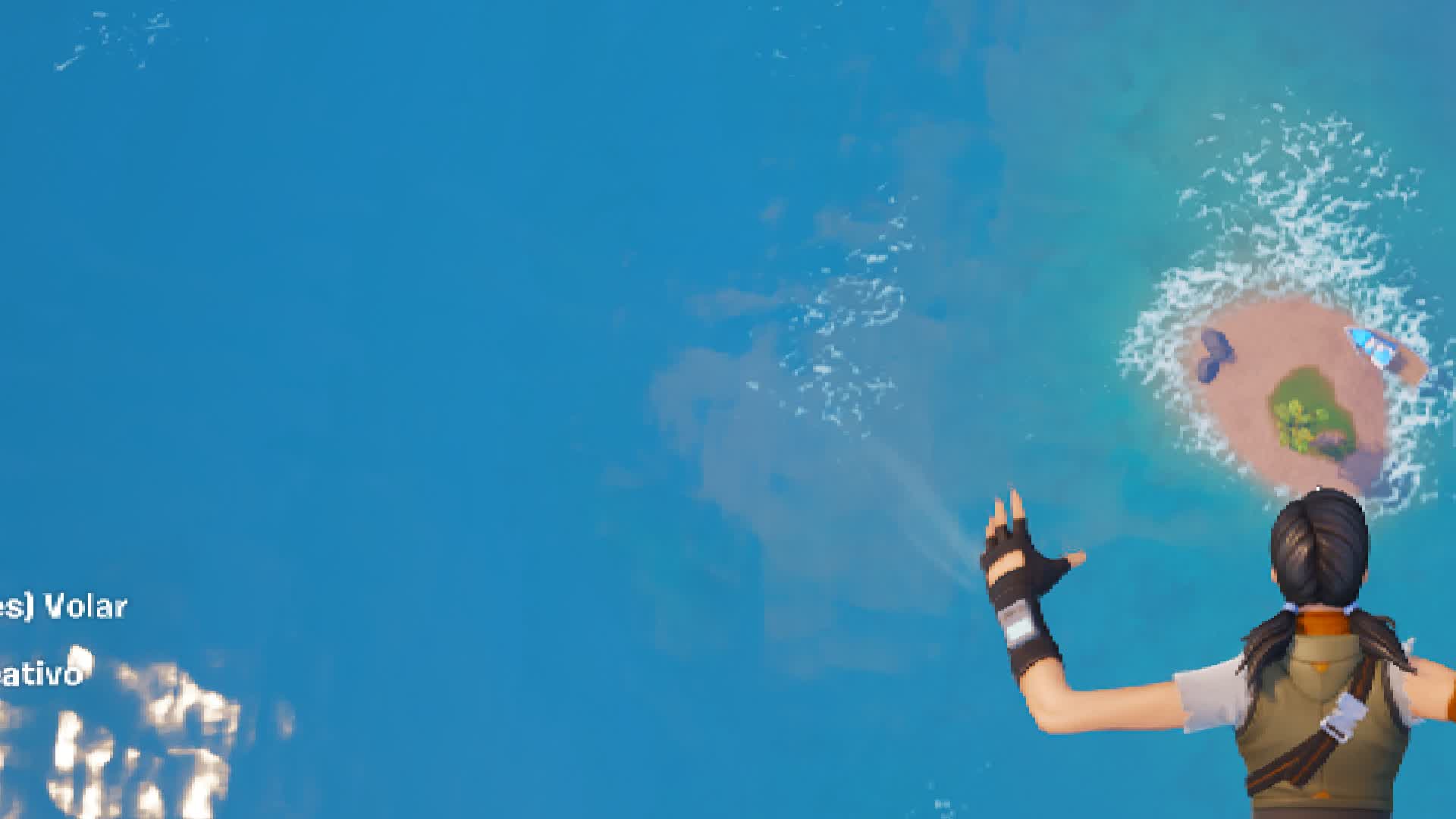 PIEDRA Y PALMERA EN EL MAR