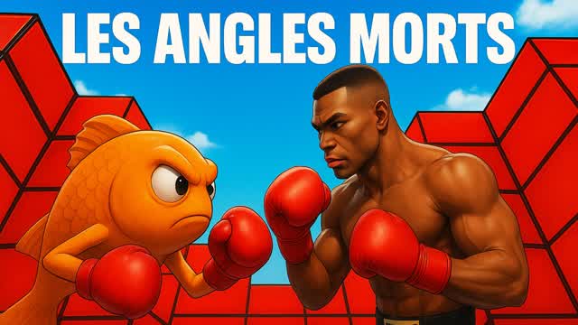 🥊LES ANGLES MORTS PIT FFA🎯