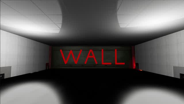 THE WALL