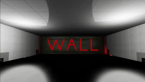 THE WALL