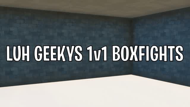LUH GEEKYS 1v1 BOXFIGHTS