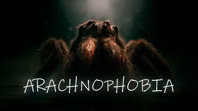 ARACHNOPHOBIA 1.0 [HORROR]