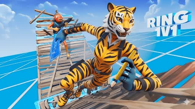 Ring 1v1 🔥