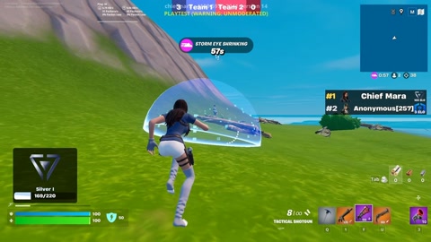 Island image
