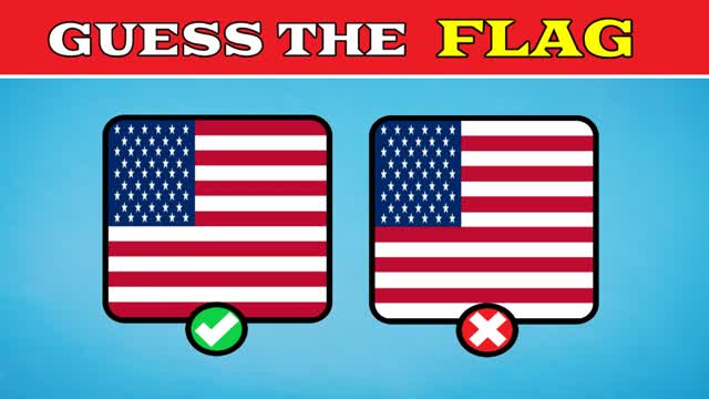 đłïžGUESS THE CORRECT FLAGđłïž