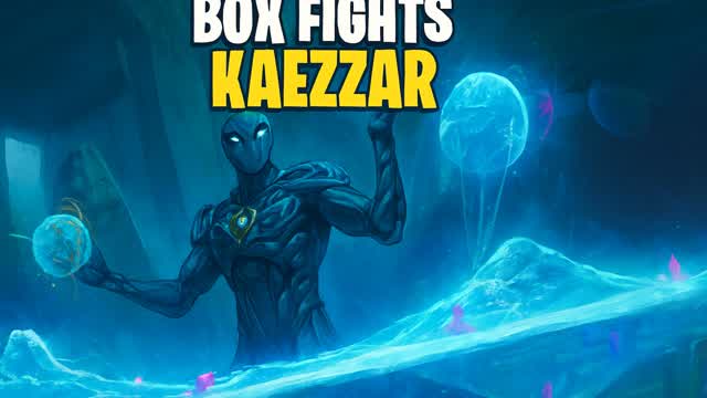 BOX FIGHTS  1v1