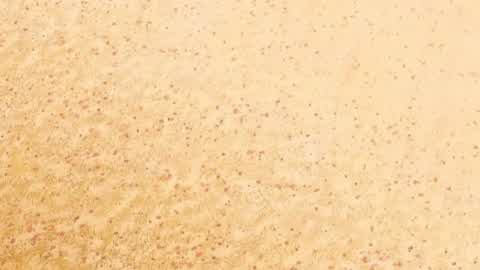 Empty Desert