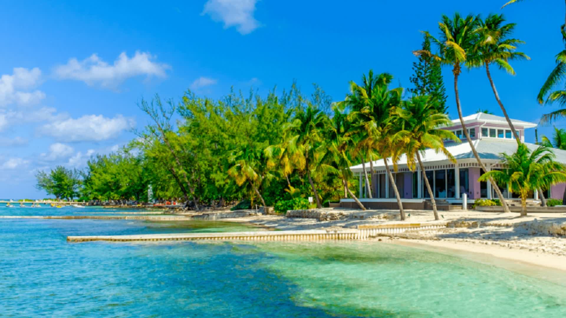 9553-7258-8856