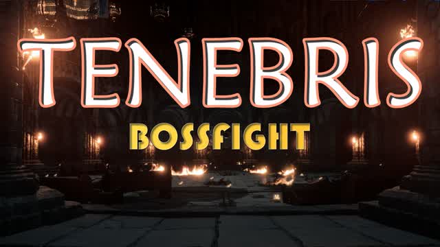 Tenebris: Bossfight