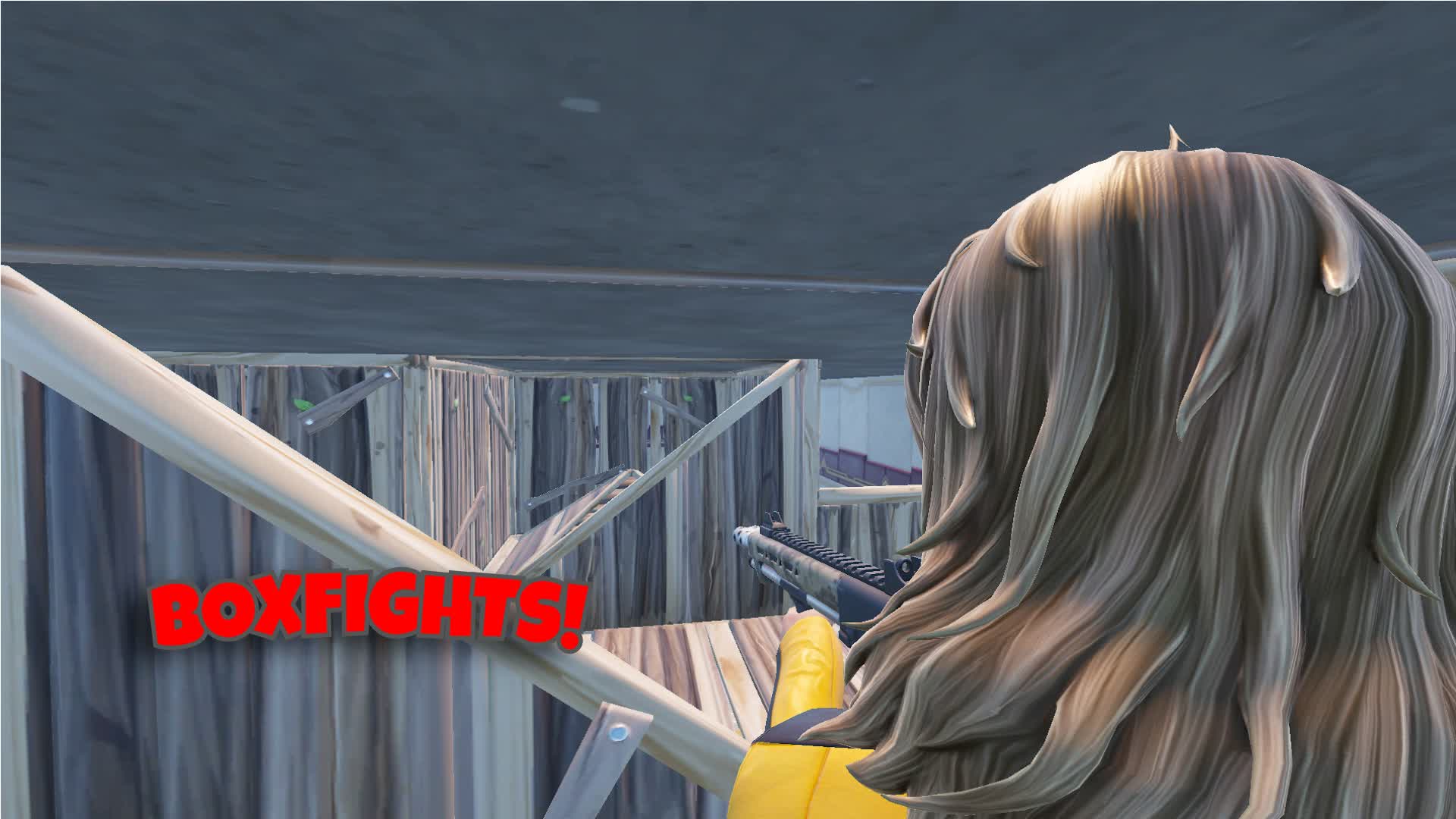 1V1 Box fight Free For All