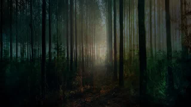 Capture 1 – Echoes Of The Infected