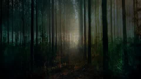 Echoes Of The Infected