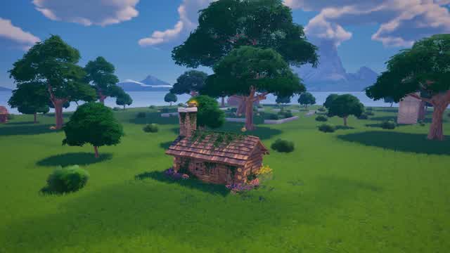 Capture 1 – Zb 5v5