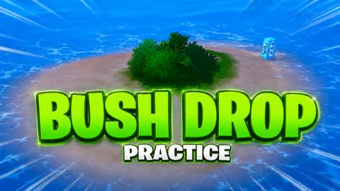 BUSH DROP PRACTICE [SCHMALI]