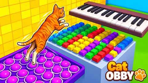 Das Katzen-Obby