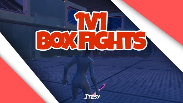 1v1 Box Fights