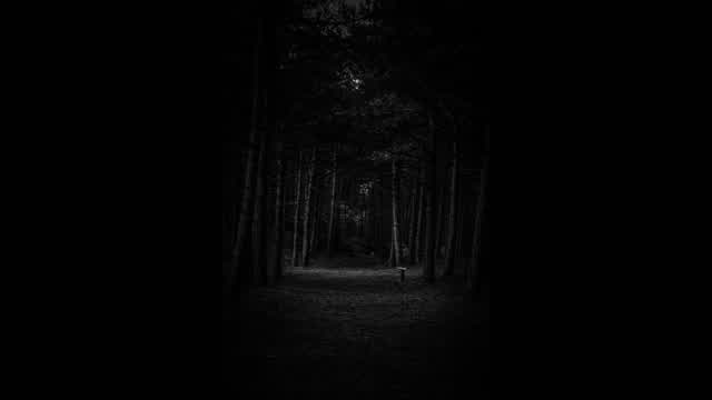 Capture 1 – Slender: The Eight Pages