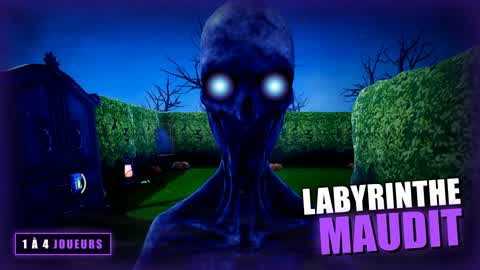 CURSED MAZE