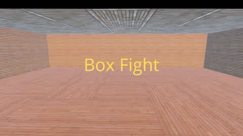 Box fight