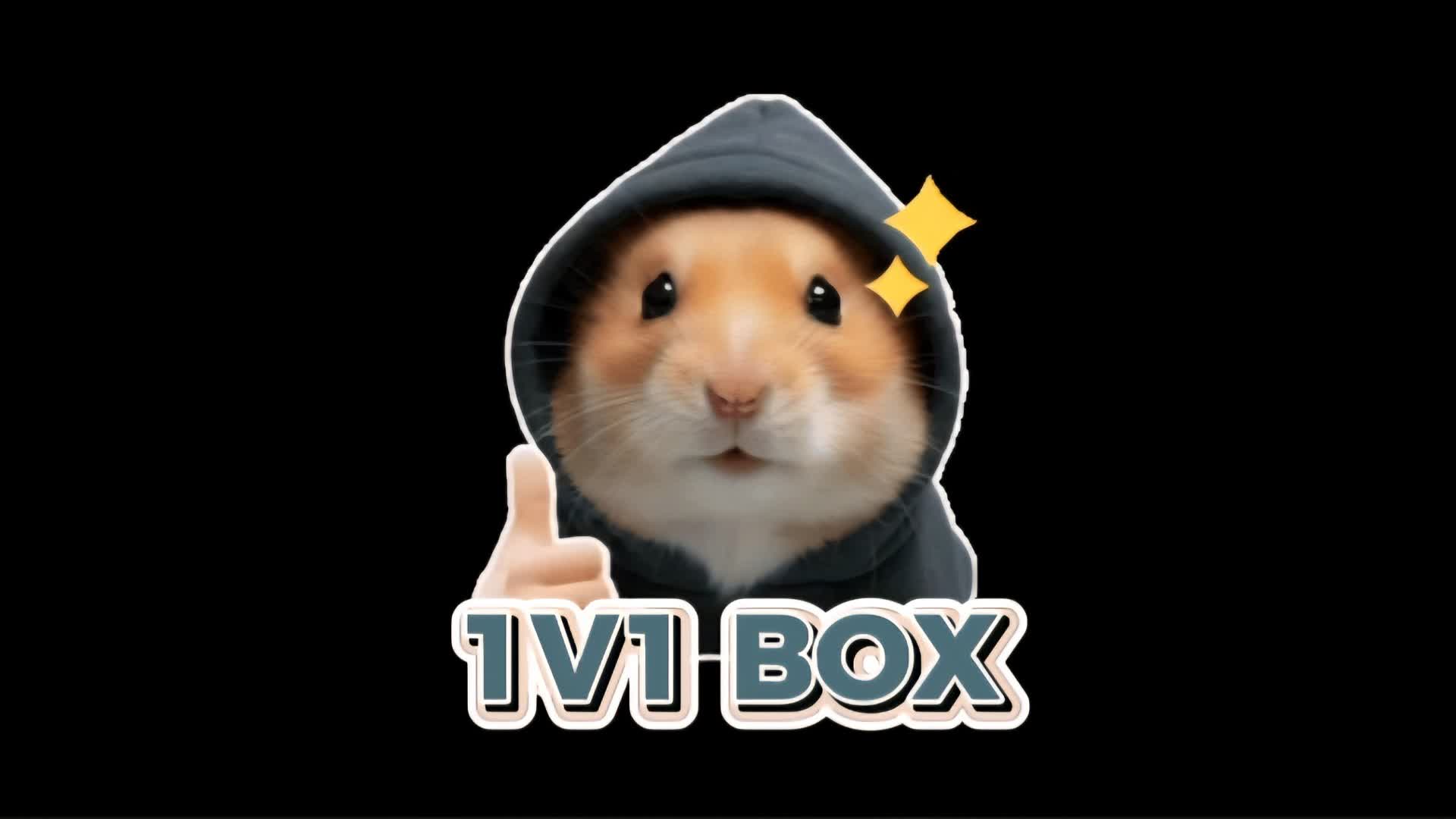 1V1ボックス
