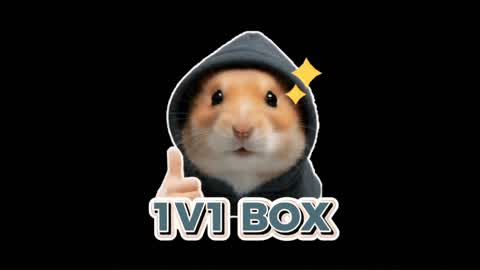 1V1 BOX