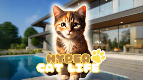 🐱HYPER CAT LIFE🐈