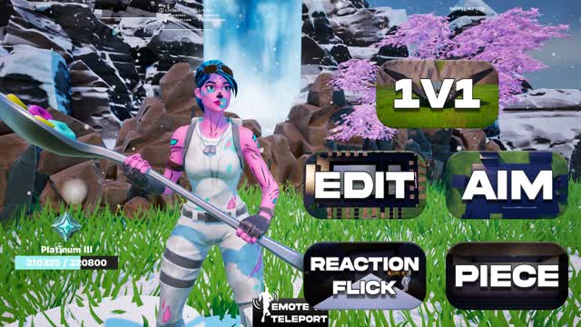Pro Training - AIM PIECE EDIT 1V1