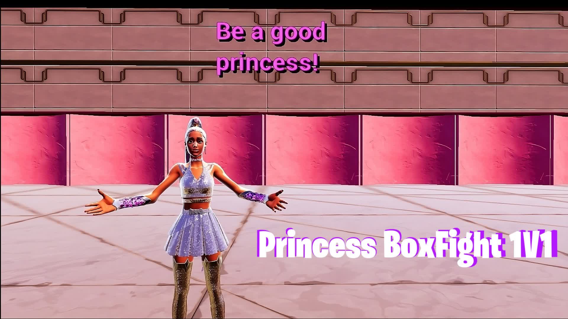 Princess BoxFight!