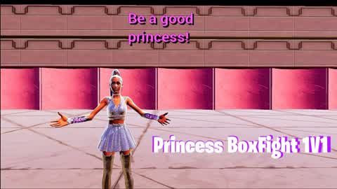 Princess BoxFight!
