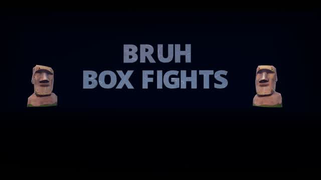 🗿Bruh Box Fights🗿