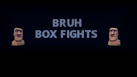 🗿Bruh Box Fights🗿