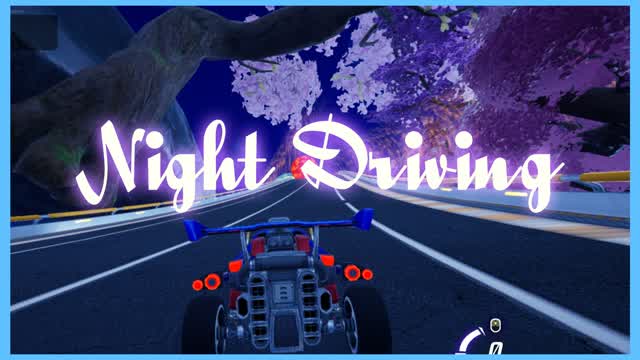 Night Driving
