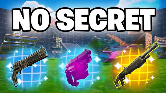 NO SECRET 1V1 EVERY GUN