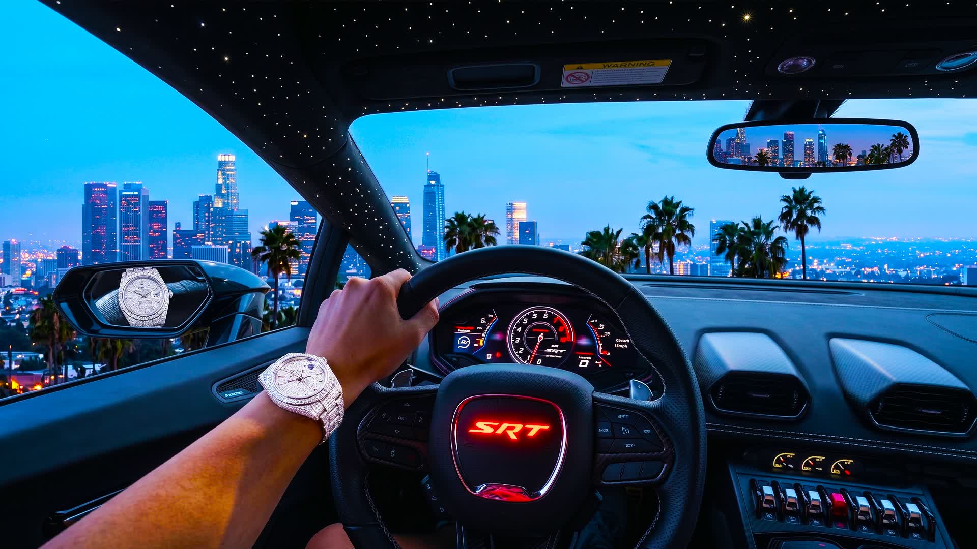 CHAMELEON DRIVE