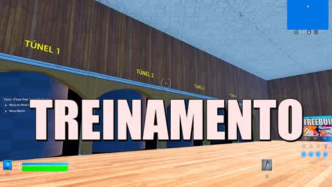 TREINAMENTO DE MECÂNICAS