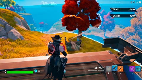 Island image