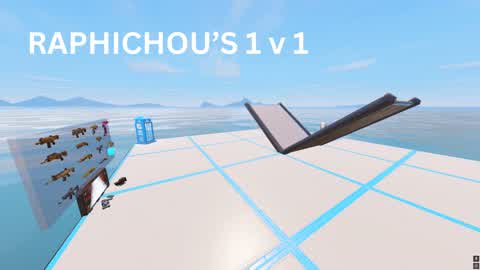 RAPHICHOU'S BUILDFIGHT