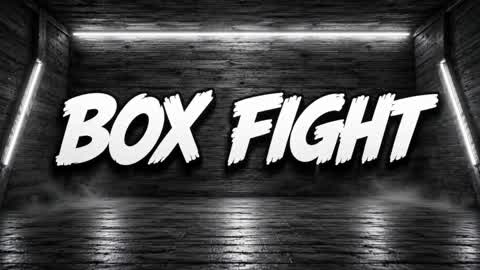 BOX PVP - BOX FIGHTS