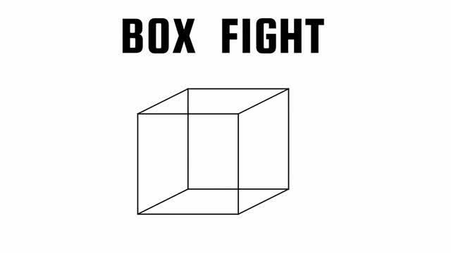 BOX  FIGHT