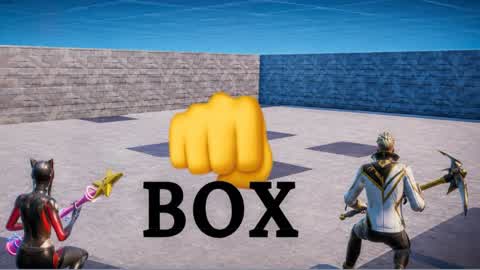 BOX