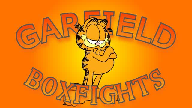 Garfield Boxfights