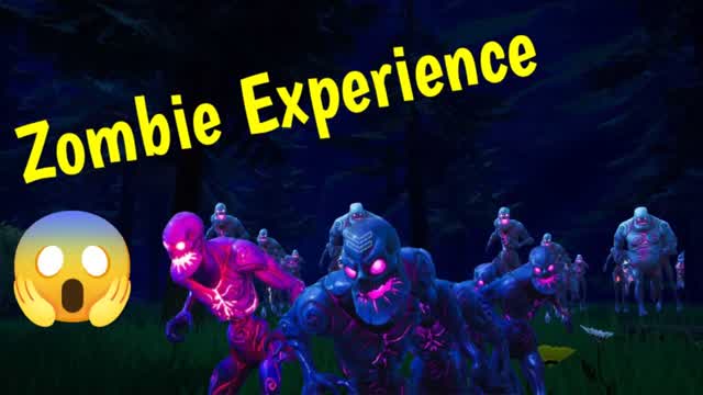 Capture 1 – Zombie Experience