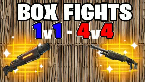 PRO BOX FIGHTS (1V1 TO 4V4)