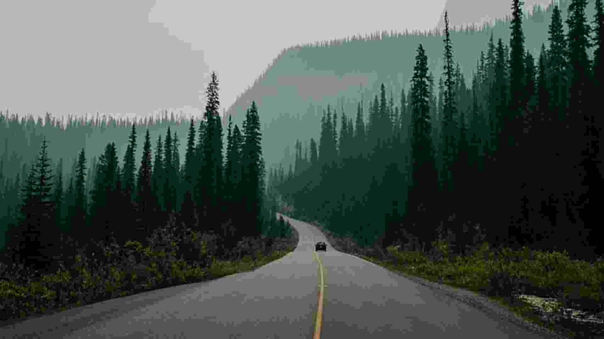 gdf43vcxasd21