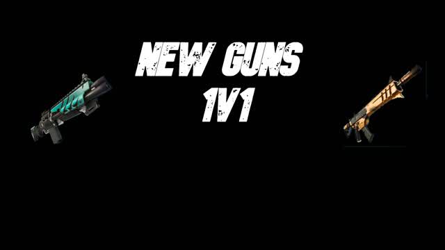 1V1 New Guns