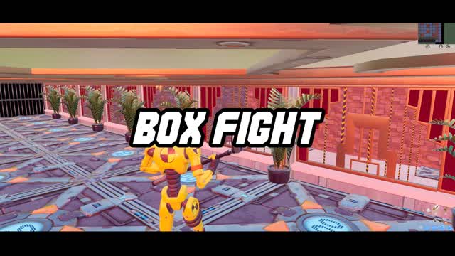 Mega Box Fight